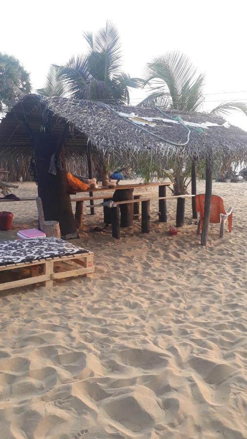 Hotel Dolphinchilling à Alankuda Extérieur photo